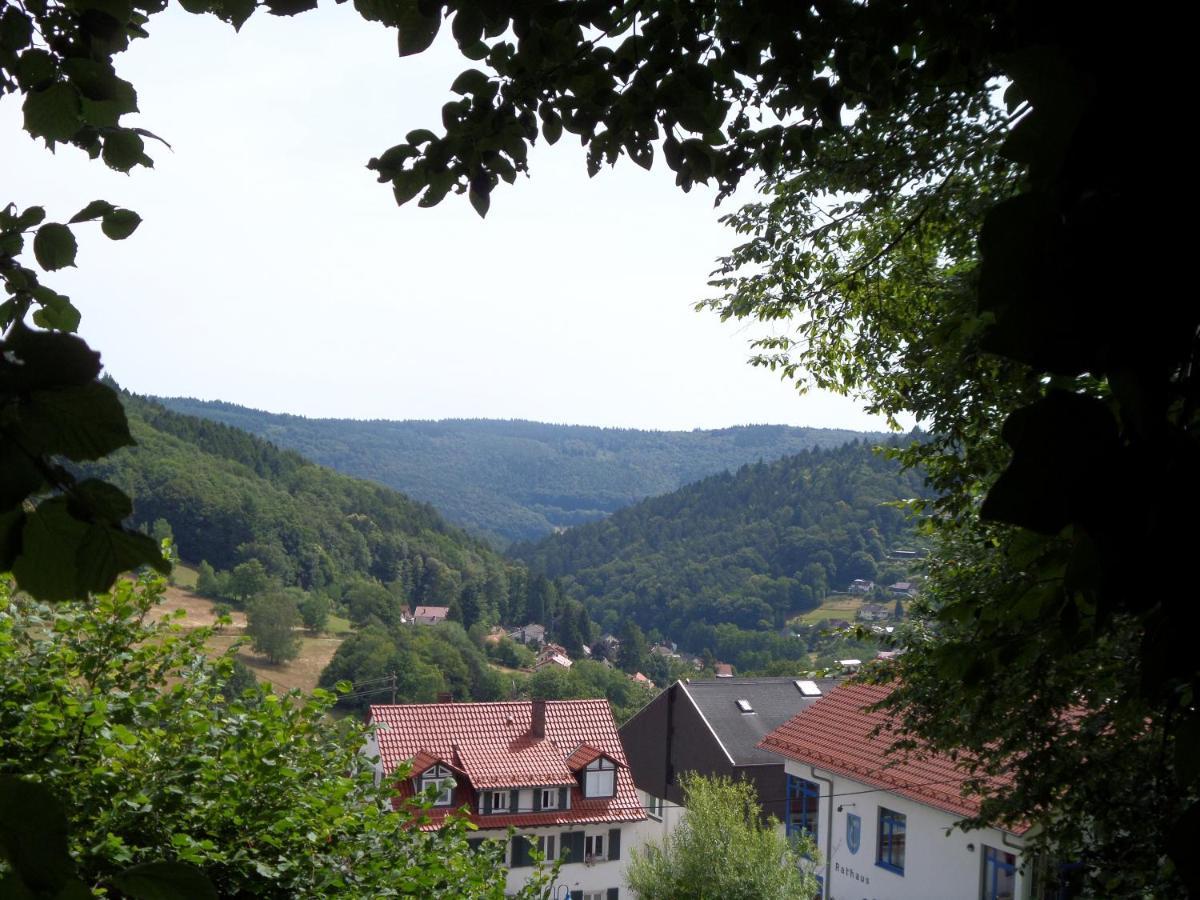 Haus Fermate Wilhelmsfeld (Rhein-Neckar-Kreis) Exterior foto