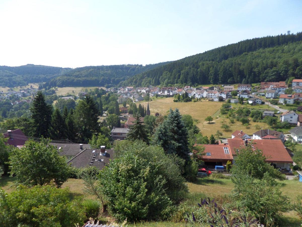 Haus Fermate Wilhelmsfeld (Rhein-Neckar-Kreis) Exterior foto